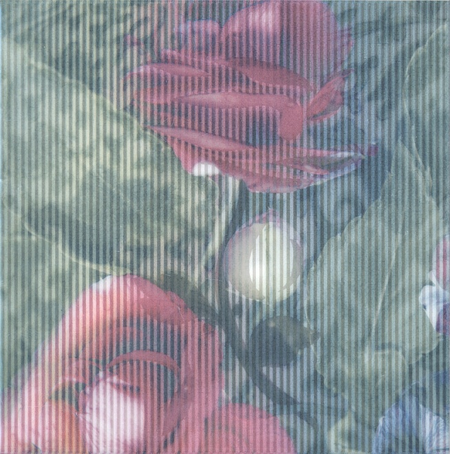 Керама марацци парк роз в интерьере